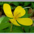 청옥산민박 이미지