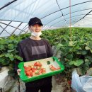 윤기농장 이미지