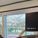 헬스 달리아 이미지