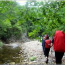 영봉농장 이미지