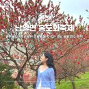 농악교실 | 금산 홍도화축제 홍도마을 가볼만한곳 충남 봄 여행지