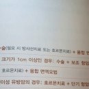삼중음성 유방암 2기 B/항암후기/황성주 판교 사랑의병원 면역주사/감사생활