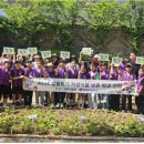 매봉초교 이미지