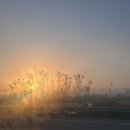 통기타 초급 | 가족여행 in Tokyo Day1 - 대구공항, 티웨이항공, 이치란, 이세탄, 딸기모찌, 스즈카케, 빔즈, 브랜디...