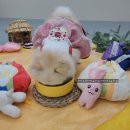 (주)아이지디 이미지