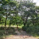 솔밭족구장화장실 이미지