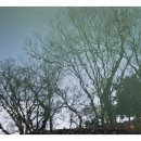 대방굴항 Daum카페