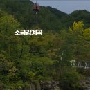소금강버들펜션 네이버블로그