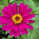 행정사감병기사무소 이미지