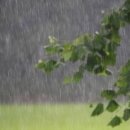 상가이용소 이미지