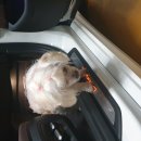 금광동물병원 이미지