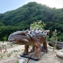 슬로우팜체험펜션 | 오무아무아팜투어 단양 ATV 체험부터 오무아무아카페까지 솔직후기