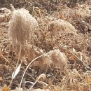 문덕2리마을회관 이미지