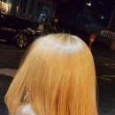 살롱드밍 이미지
