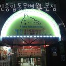 혜인종합 동물병원 이미지