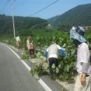 유치면사무소 이미지