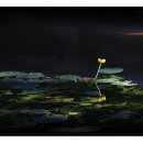 들꽃약국 이미지