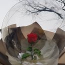 로사리아꽃화원 이미지