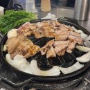 뿌리덤