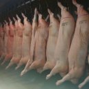 광주축산물도매센타 이미지