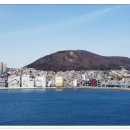 남항대교 하부 이미지