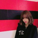 지민49 이미지