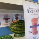 커피사피엔스가양더스카이밸리5차 네이버블로그