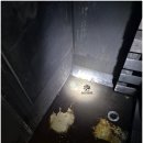 대상세차장 이미지