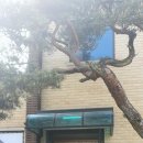 청계 여성전용 불한증막 이미지