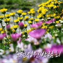 남승룡로 | 순천국제정원박람회 다양한 세계정원 한국정원 후기