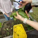 무럭무럭 | [🌱절기 수업 후기] 무럭무럭 자라는 소만🌳