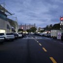 횡성한우목장 | 강원도 가을축제 가볼만한곳 2024 횡성한우축제 구이터 방문후기