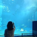 기씨신발편의점(안양대교점) | 오키나와 가족여행 일기 (2일차)