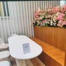 새바라기 | 고양시 서오릉 대형 카페 디오름 카페