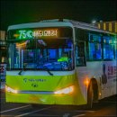 쌍전리마을회관(전당골) | 세종버스 71번 72번 73번 74번 75번 76번 시간표 노선정보