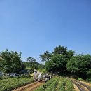 해든농장 이미지