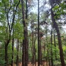 이매역 3번출구 이미지