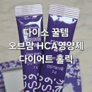 체크홀릭 | 다이소 영양제 오브맘 다이어트 홀릭 먹어본 후기, 가성비 영양제로 체지방 관리 시작!