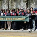 정원의 조성과 관리 엔디엔뉴스