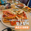 항구시계 | 뷰 데이트 코스! 와이프가 극찬한 수율 대박 속초 대게 맛집 대포항 항구활어 찐후기 feat. 속초 횟집 추천