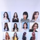 어니트 이미지