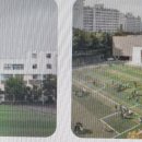 서울원묵초등학교 이미지