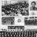 사하초등학교 이미지