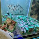 (주)슈퍼365마트 | 상하이 정대광장 점도덕, 홀리랜드, 팝마트, 칭즈핸드크림, 미니소, 헤이티 다있는 루자쭈이 슈퍼브랜드...