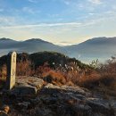 황산주