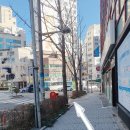 모닝글로리부민점