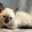 미사강변동로 이미지