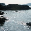 은빛바다 이미지