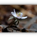 산골짜기 이미지