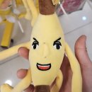 12월 블로그
